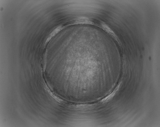 X0000067840985200604271615