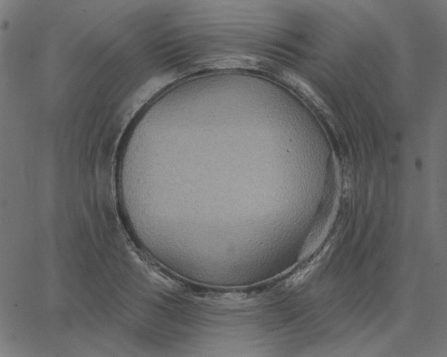 X0000067840986200604271615