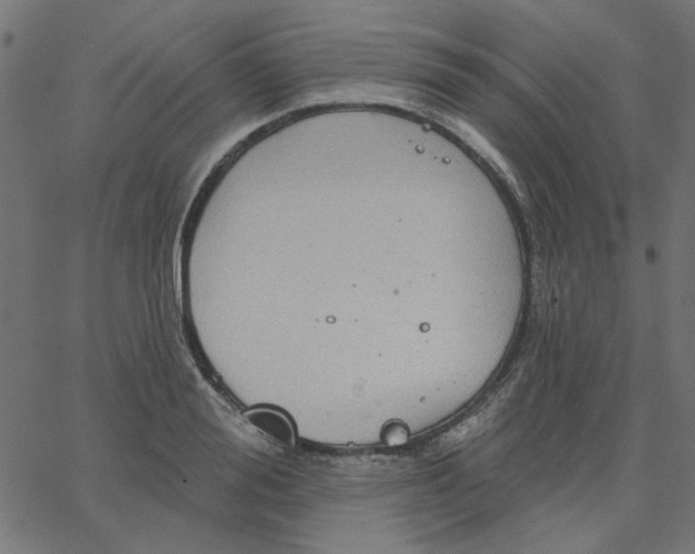 X0000067840988200604271615