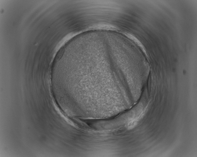 X0000067840989200604271615