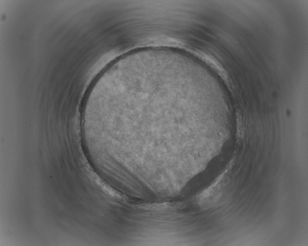 X0000067840990200604271615