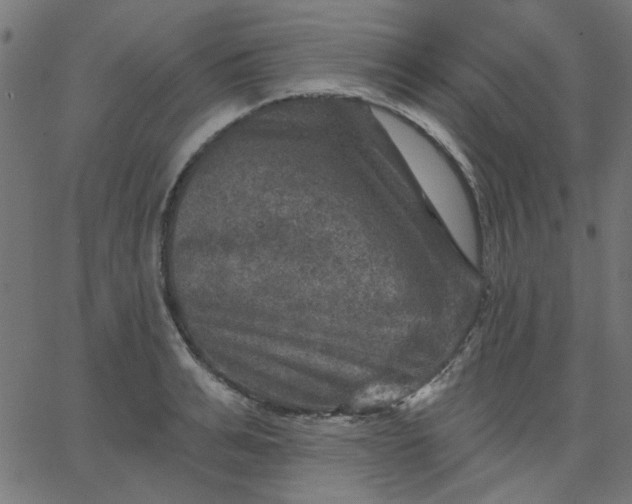 X0000067840991200604271615