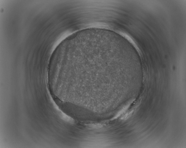 X0000067840999200604271615