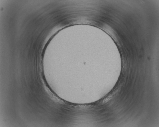 X0000067841000200604271615