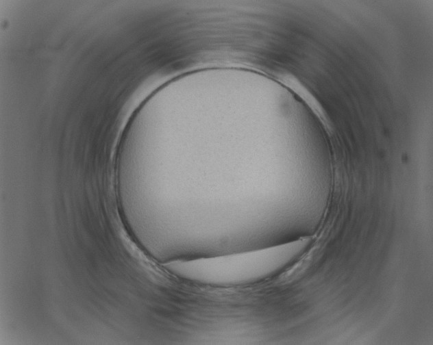 X0000067841004200604271615