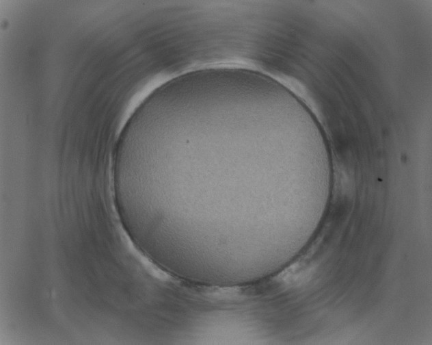 X0000067841006200604271615