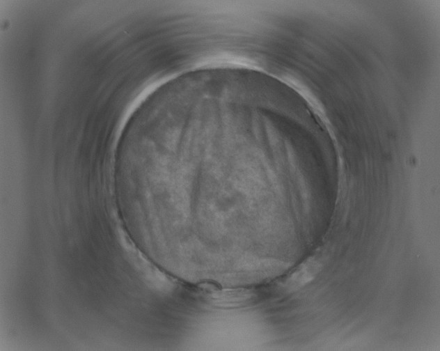 X0000067841008200604271615