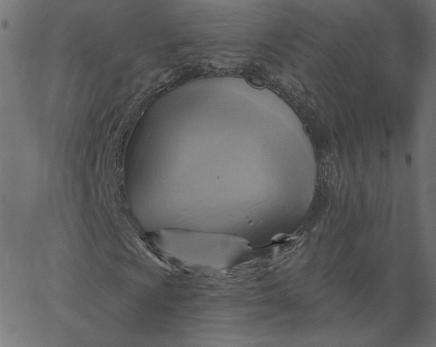 X0000067841009200604271614