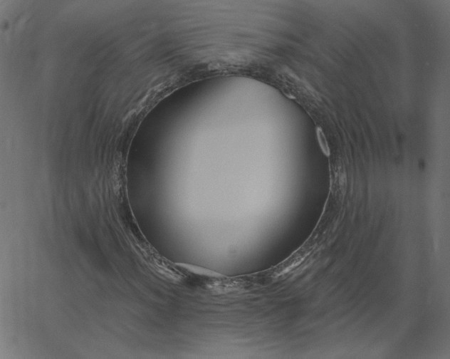 X0000067841012200604271614