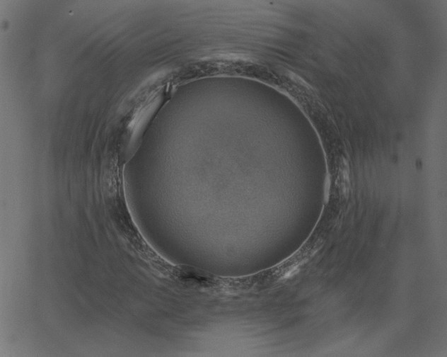 X0000067841014200604271614