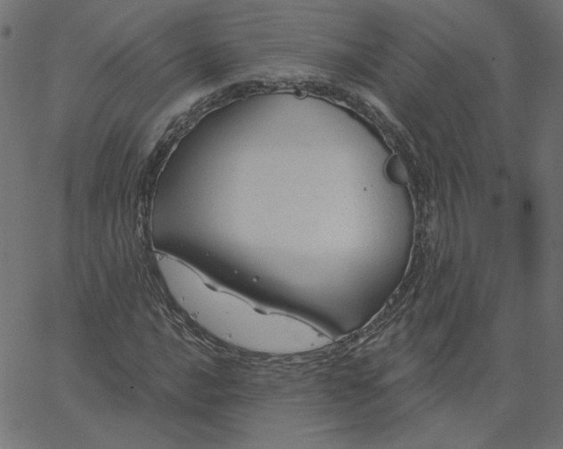 X0000067841016200604271614