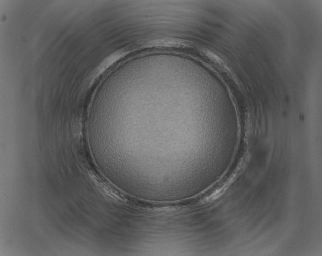 X0000067841017200604271614