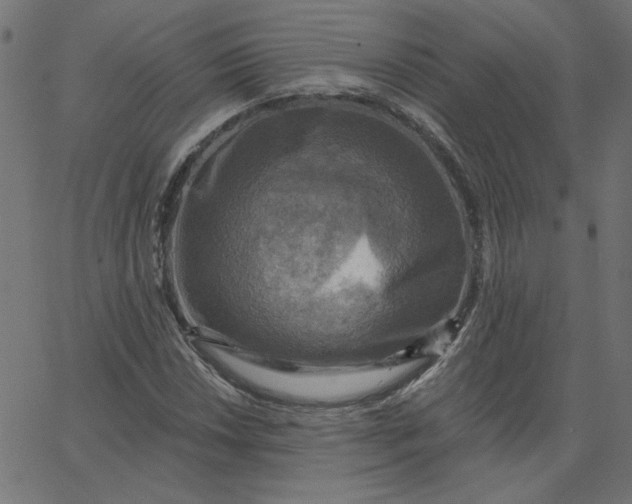 X0000067841018200604271614