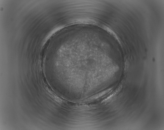 X0000067841019200604271614