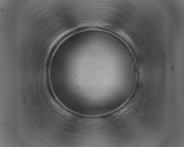 X0000067841020200604271614