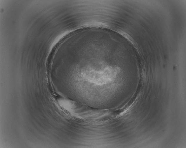 X0000067841022200604271614