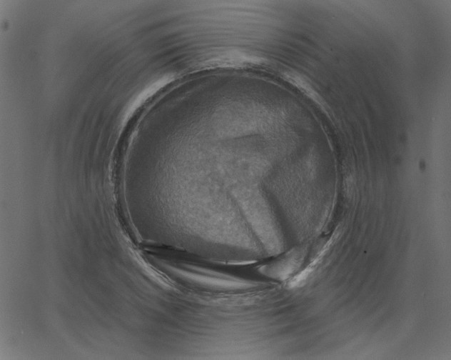 X0000067841026200604271614