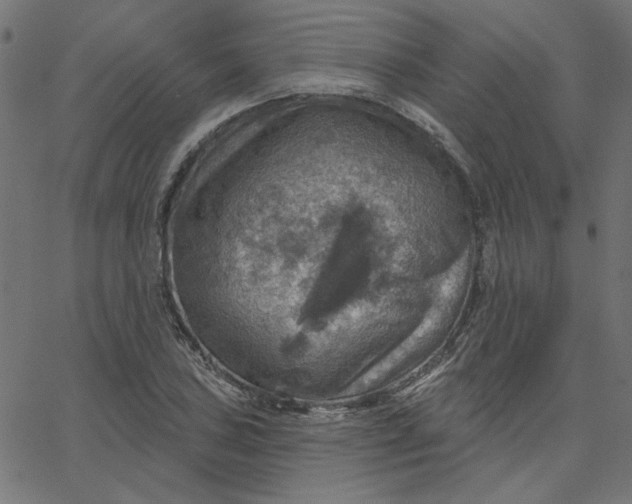 X0000067841027200604271614