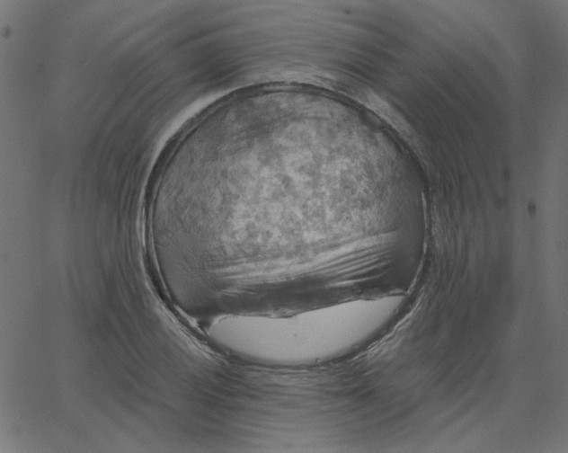 X0000067841028200604271614