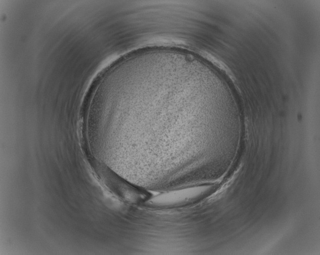 X0000067841029200604271614