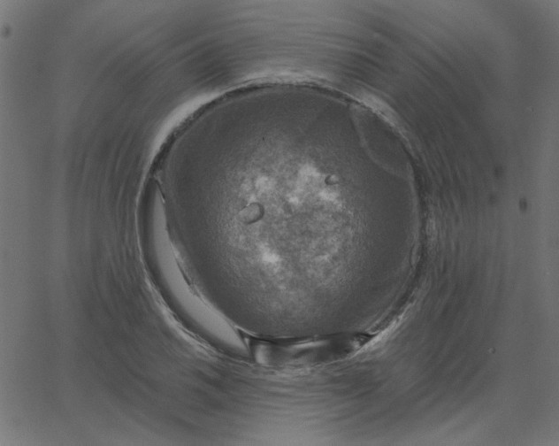 X0000067841030200604271614