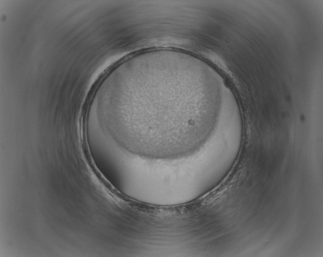 X0000067841032200604271614