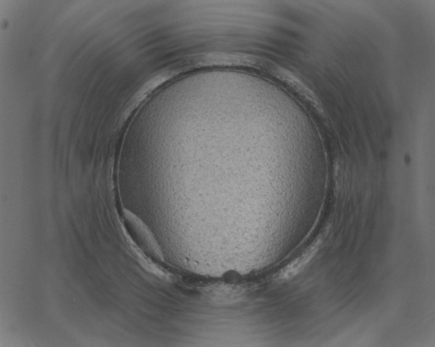 X0000067841033200604271614