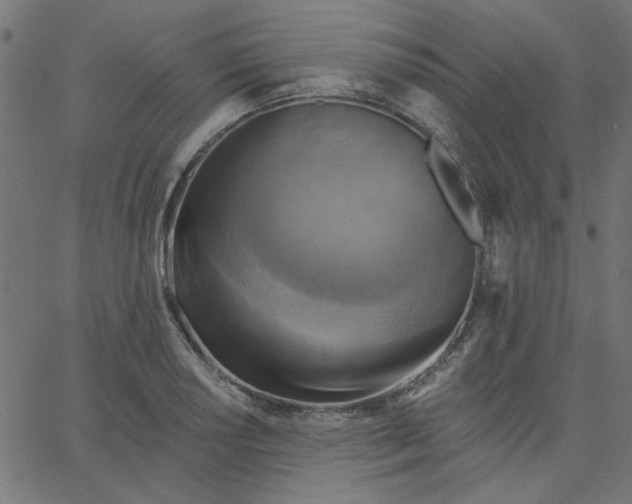 X0000067841034200604271614