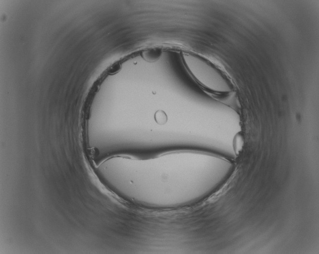 X0000067841038200604271614