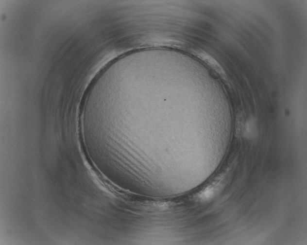 X0000067841039200604271614