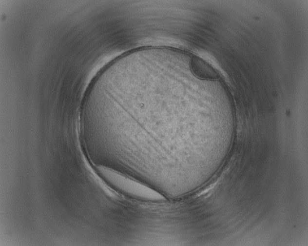 X0000067841040200604271614