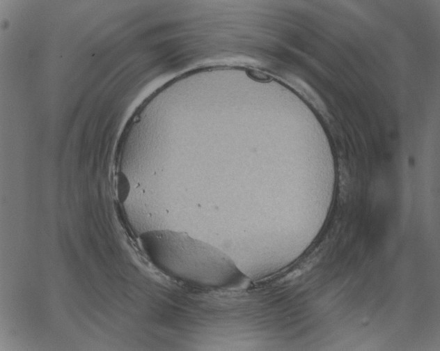 X0000067841044200604271615