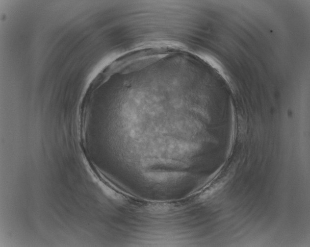 X0000067841046200604271615