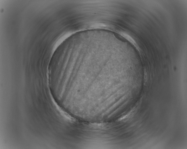 X0000067841047200604271615