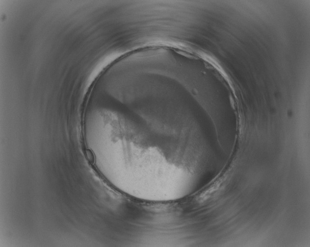 X0000067841048200604271615