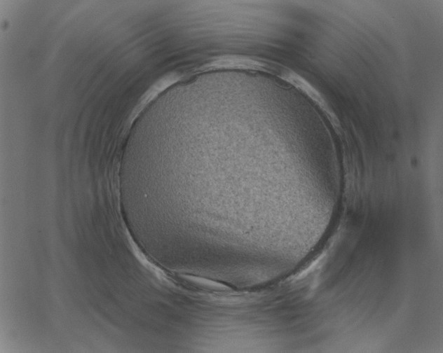 X0000067841049200604271615