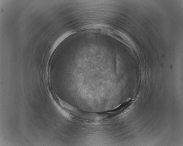 X0000067841050200604271615