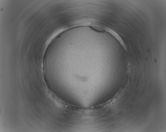 X0000067841051200604271615