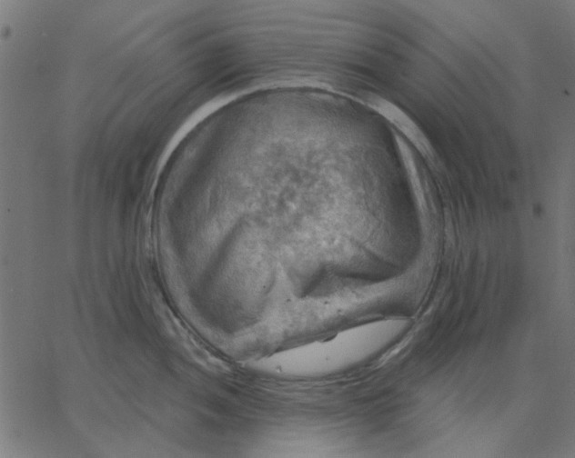 X0000067841052200604271615