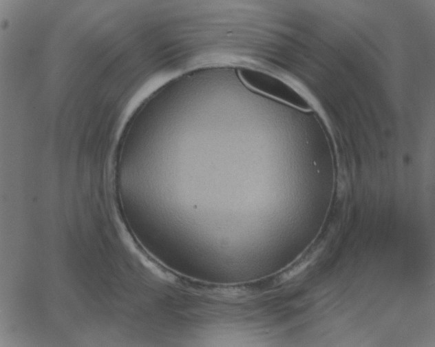 X0000067841053200604271615