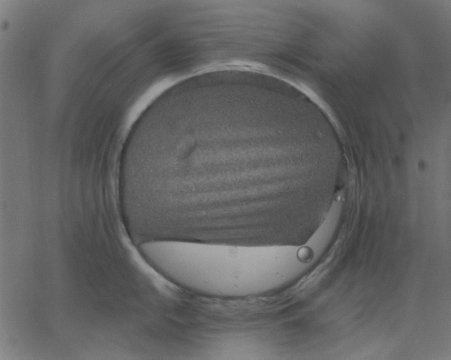 X0000067841054200604271615