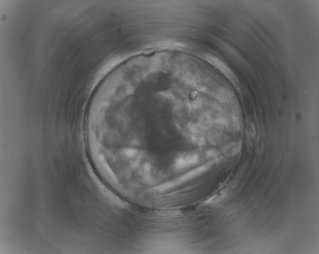 X0000067841055200604271615