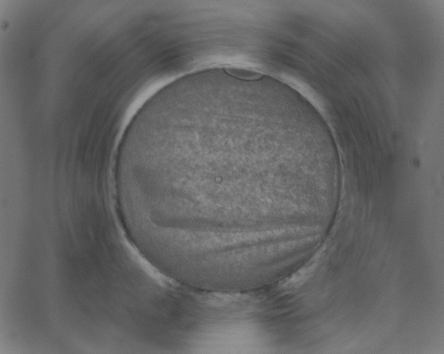 X0000067841056200604271615