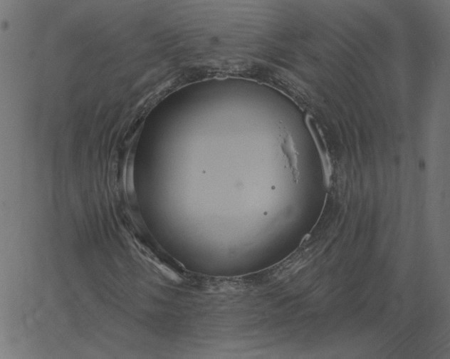 X0000067841058200604271614