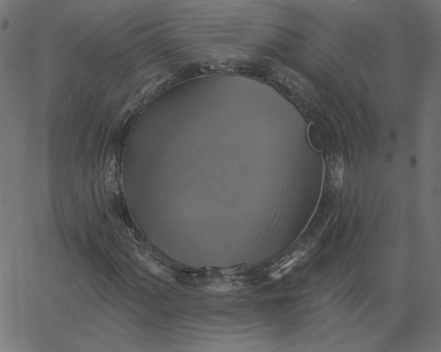 X0000067841060200604271614