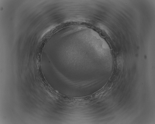 X0000067841064200604271614