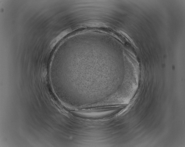 X0000067841065200604271614