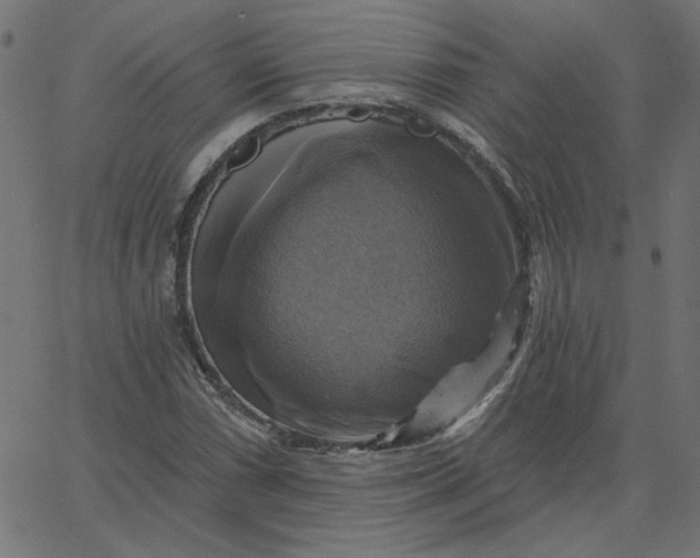 X0000067841066200604271614