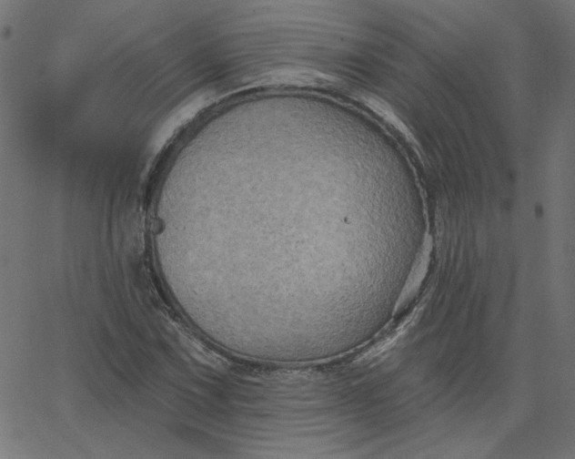 X0000067841067200604271614