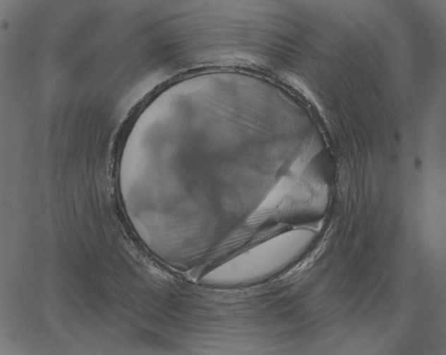 X0000067841071200604271614